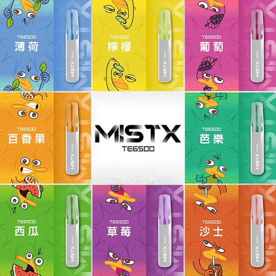 TE鴨嘴獸🌈6500口拋棄式 (買 10 送 1)